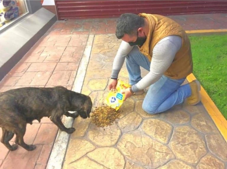 Carlos David se burla de los ciudadanos que supuestamente estafó