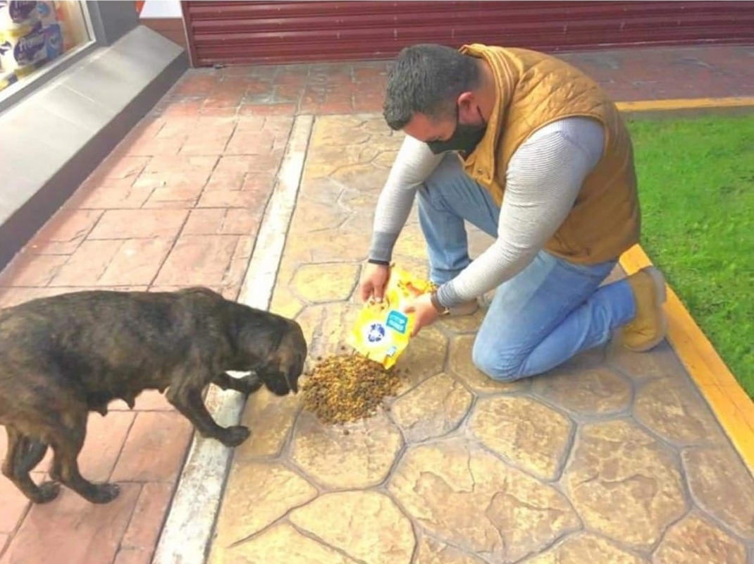 Carlos David se burla de los ciudadanos que supuestamente estafó