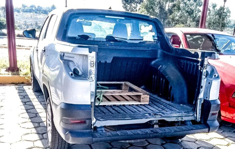 Llega la hija de Ernestina Carro al Poder Judicial y con ella la delincuencia